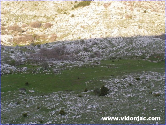Biokovo_50