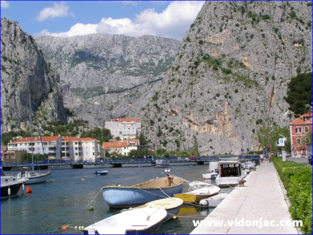 Omis_04