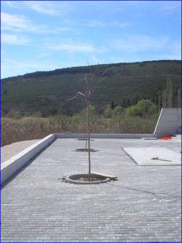 Radovi_u_Prudu_08