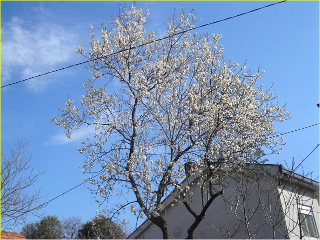 Prud_05