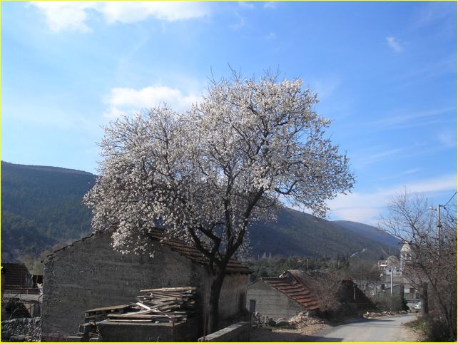 Prud_07