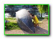 Plants: image 1 0f 30 thumb