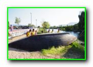 Plants: image 4 0f 30 thumb