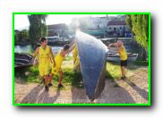 Plants: image 5 0f 30 thumb