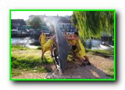 Plants: image 6 0f 30 thumb