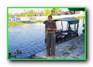 Plants: image 10 0f 30 thumb