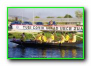 Plants: image 10 0f 30 thumb