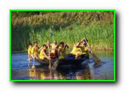 Plants: image 15 0f 30 thumb