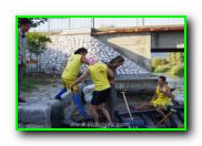 Plants: image 17 0f 30 thumb