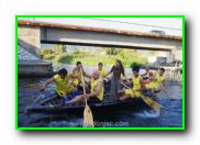 Plants: image 19 0f 30 thumb