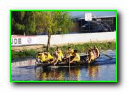 Plants: image 20 0f 30 thumb