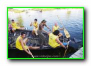 Plants: image 22 0f 30 thumb