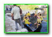 Plants: image 23 0f 30 thumb