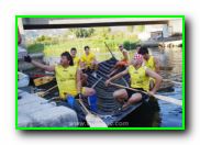 Plants: image 24 0f 30 thumb