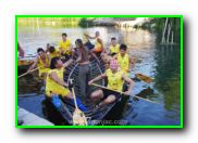 Plants: image 25 0f 30 thumb