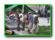 Plants: image 29 0f 30 thumb