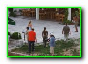 Plants: image 30 0f 30 thumb