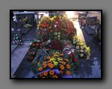 Kliknite za uvecanje