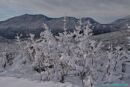 Kliknite za uvecanje
