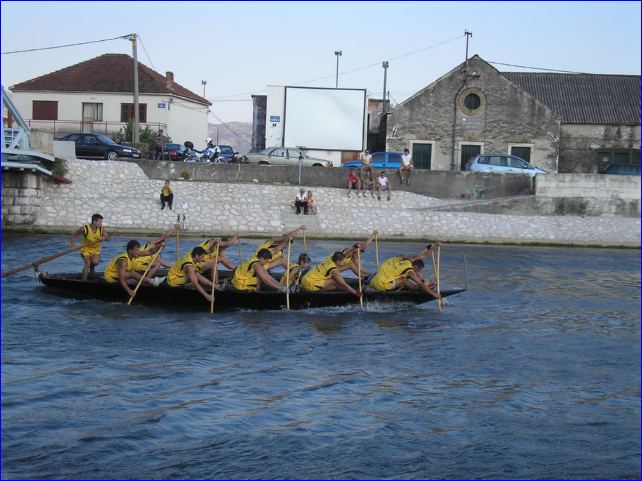 Domagojevi-gusari-mladi_3