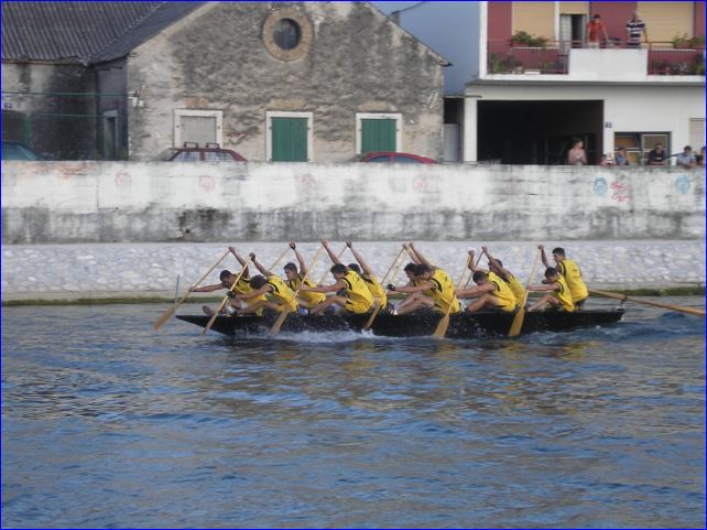 Domagojevi-gusari-mladi_6