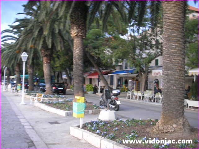 Cavtat_07