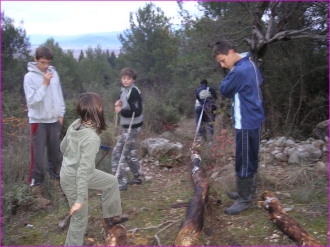Priprema_za_badnjak_24