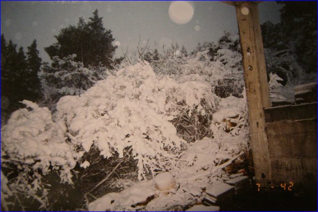 Snijeg_2005_03