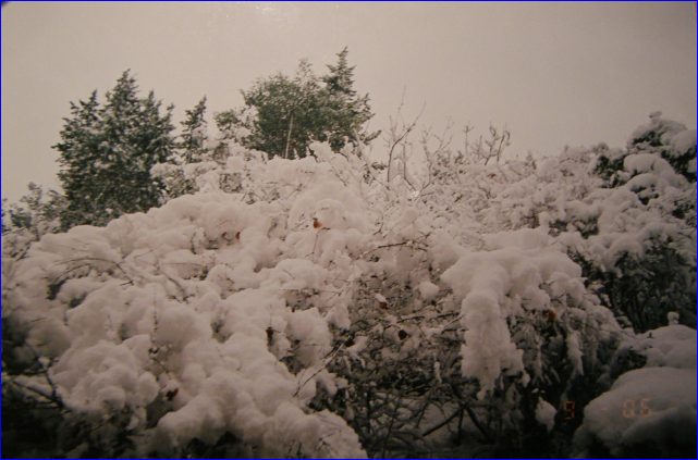 Snijeg_2005_06