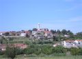 Pogled na Vid